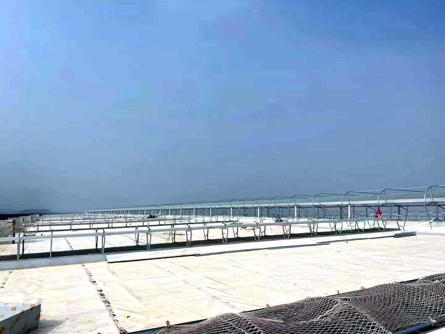 完工后的厂房屋面